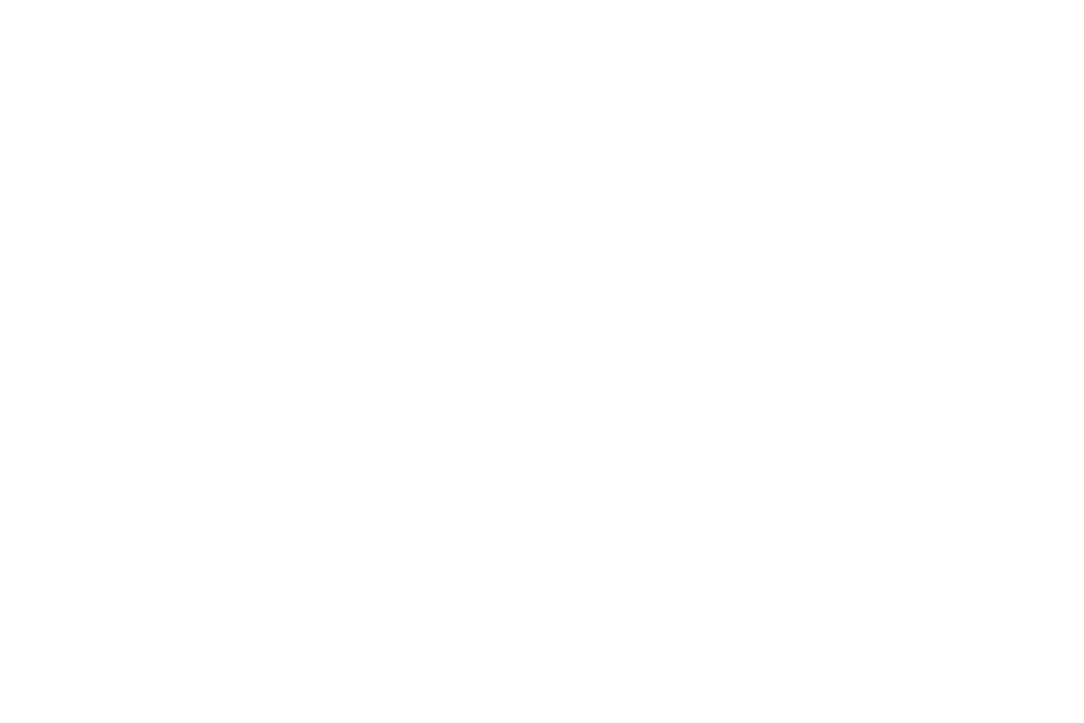 SS Enterprises Exim